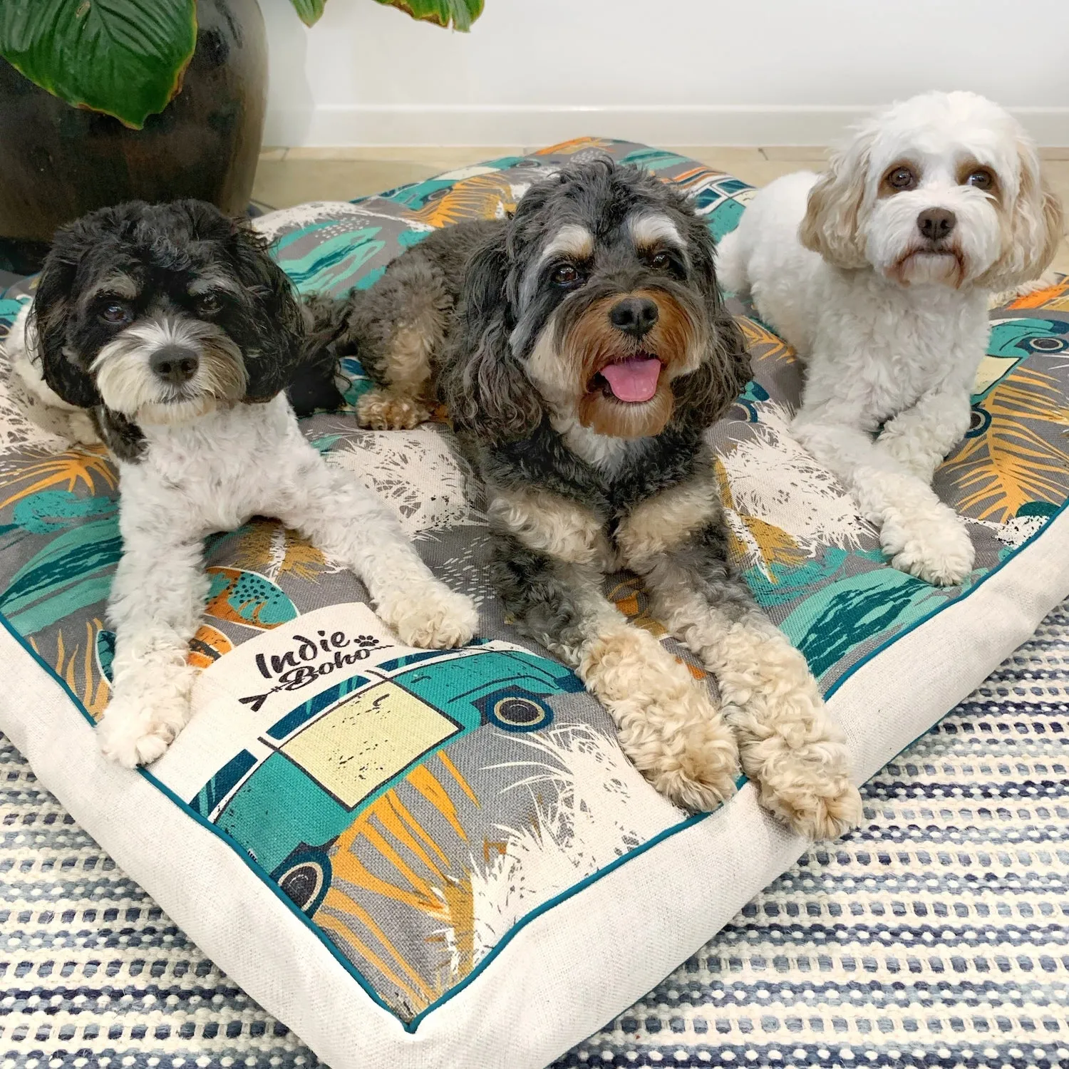 Byron Surf – XXL Dog Bed