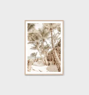 Palm Tree Trail Framed Print